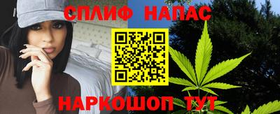 гидра Новодвинск