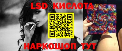 гидра Новодвинск