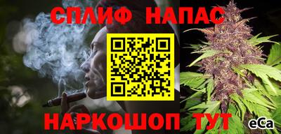 гидра Новодвинск