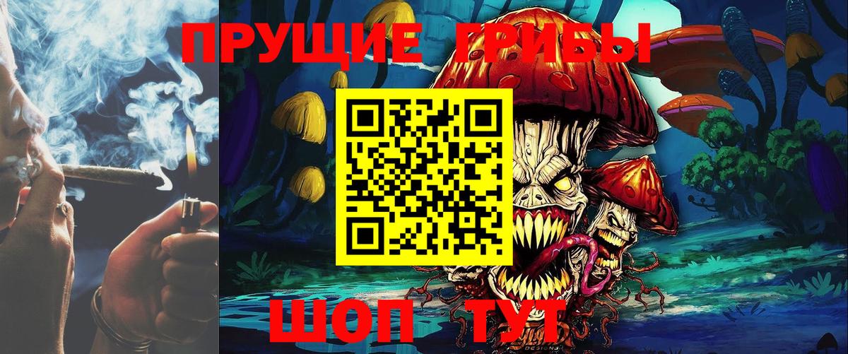 Галлюциногенные грибы Cubensis  купить наркоту  Сергиев Посад  Вход с VPN 