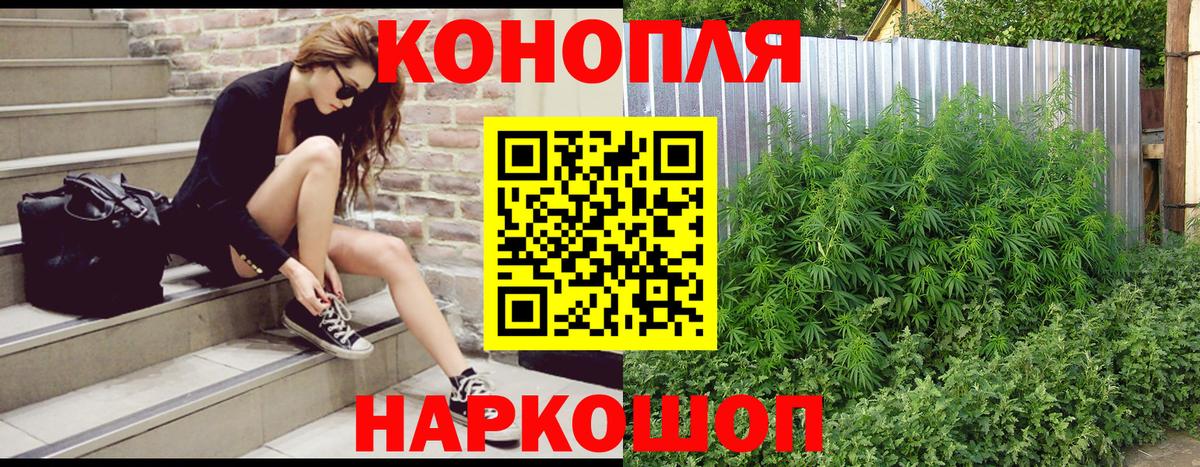 Шишки марихуана планчик Сергиев Посад